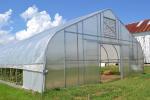 Single Tunnel PE Film Greenhouse Economic Type Vegetable Green House