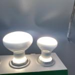 75W 100W Basking Bulb Sunspot Infrared Frosted Reptile Heat Lamp