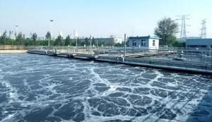 China High Speed SS304 Centrifugal Solid Liquid Separation Wastewater Centrifuge on sale