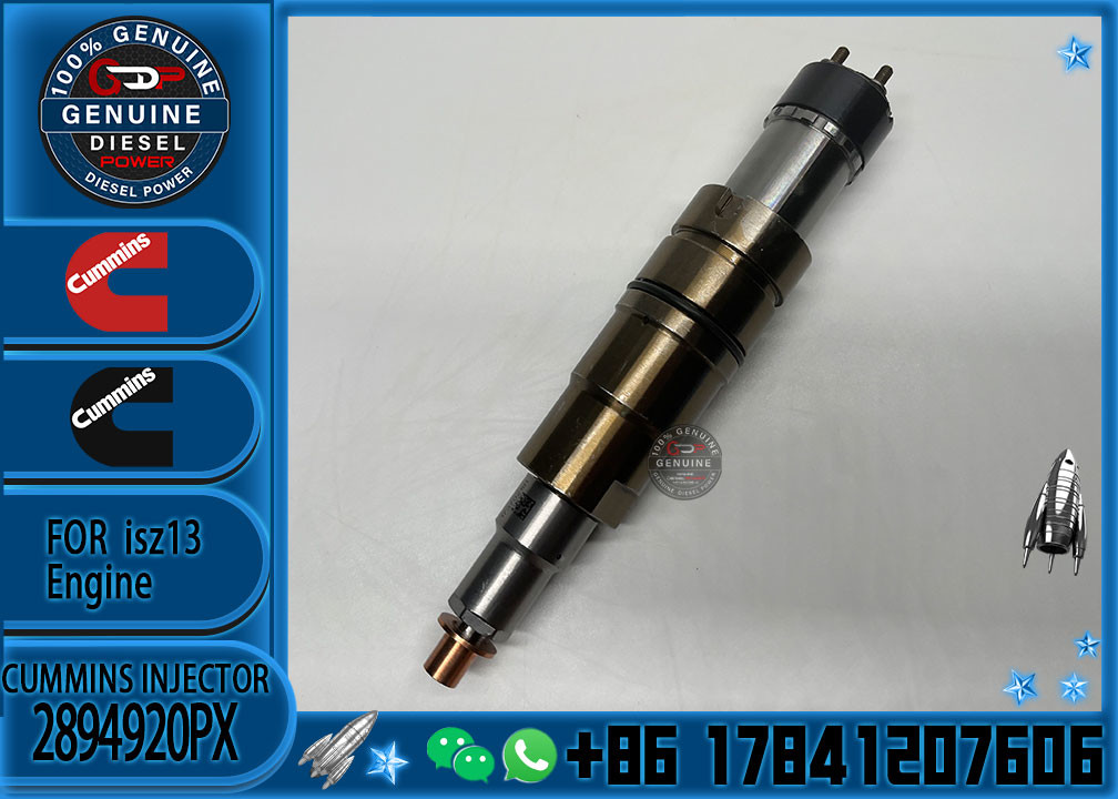 Hot-selling new Diesel common rail Fuel Injector 2894920PX 2894920