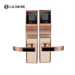 Security Big Panel Fingerprint Zinc Alloy Door Lock IR Face Recognition