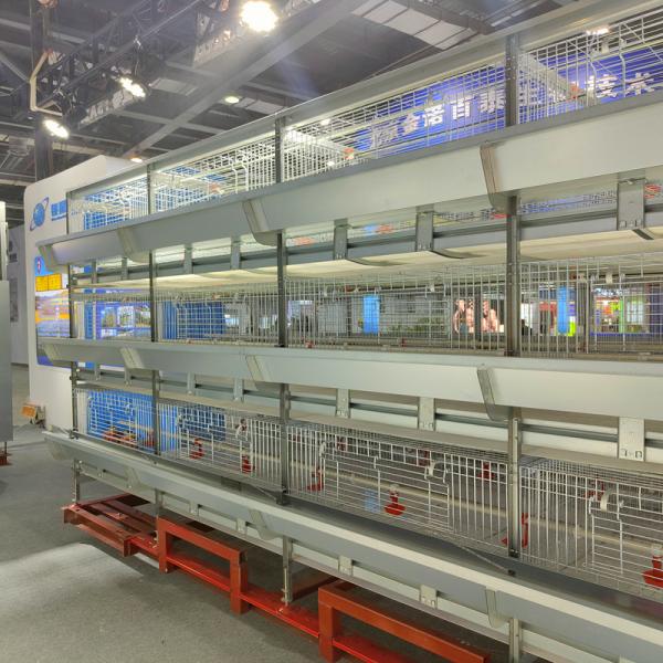 Hot Galvanizing Poultry Farm Cage , 3 / 4 Tiers Chicken Steel Cage For Layers