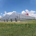 Polycarbonate Multi Span PC Sheet Greenhouse Automatic Plants Growing