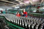 Glass Bottle Beer Production Line Packing Conveying Process 12 Months Warranty