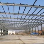 Light Steel Warehouse Buildings Q235B Q355B Metal Buildings Workshop