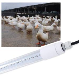 Quality AC 85V Chicken Coop LED Light wholesale