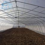 Agriculture Plants Growing Strong Structure Polyethylene Film Greenhouse for