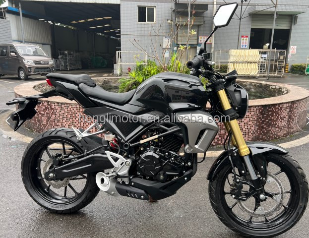 Oil Cooled 250cc Enduro Dirt Bike Gas / Diesel Fueled Customized Color
