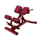 Adjustable Roman Chair Back Extension Machine Physical Training Applied