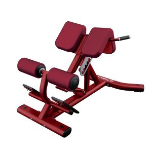Quality Adjustable Roman Chair Back Extension Machine Physical Training Applied wholesale