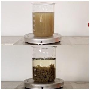 Quality Papermaking Effluent Treatment Chemicals Decolor Agent Coagulant Color Remove 55295 98 2 wholesale