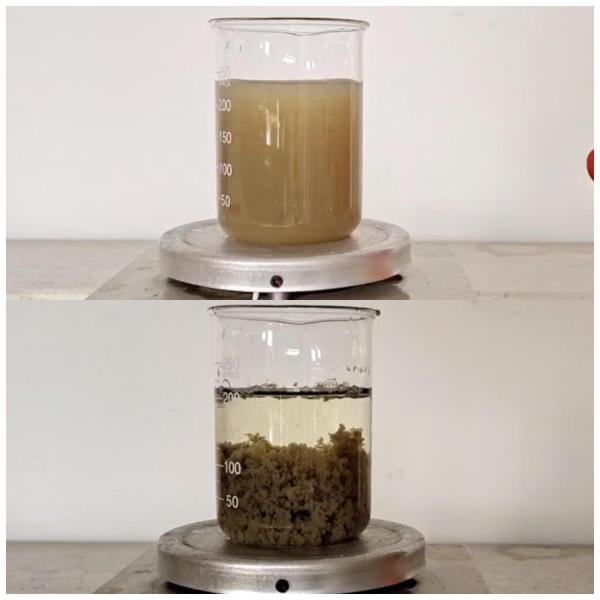 Papermaking Effluent Treatment Chemicals Decolor Agent Coagulant Color Remove