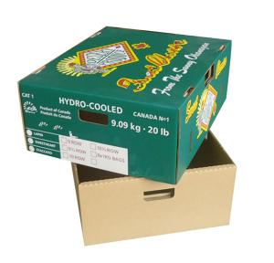 Quality Strong Fruit Packaging Carton Tomato Box Cherry Box with Lid wholesale