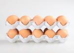 Disposable Paper Egg Tray Making Machine 1000pcs/h