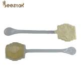 Quality New Arrival Natural Bee Honey 100% Pure Raw Honey Acacia Spoon Honey Customized wholesale