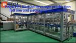 Peiyu PET Bottled Beverage Production Full Line And Packaging Equipments