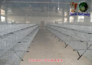 Quality poultry cage for large scale poultry feedcage wholesale