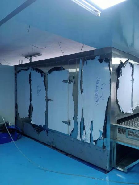 25 Kw Industrial Flash Blast Tunnel Freezer 1800kgs/Hour For Durian Pulp Shock