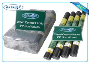 Quality Biodegradable Non Woven Landscape Fabric Roll Packing for Garden Plant Protection wholesale