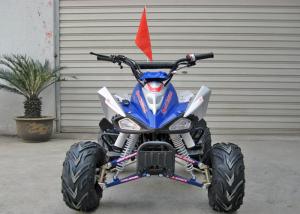 Quality Front Drum Brake 110CC ATV Quad Bike Single Cylinder Electric Start Automatic Clutch wholesale