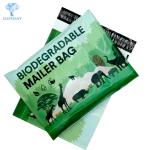 OEM ODM Courier Poly Mailer Bags PDF AI CDR format Avaiable