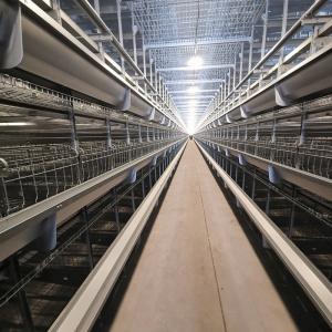 Quality 4 Floors Battery Chicken Cage Equipment wholesale