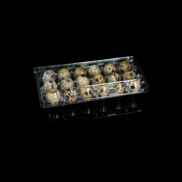 18 Hole Blister Clamshell Hinged Egg Plastic Packaging Disposable Quail Egg