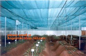 China agriculture anti insect net on roll insect proof mesh for greenhouse,Greenhouse Anti Insect Netting /Agriculture Netting on sale