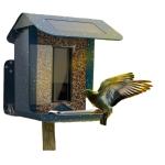 2.4G WIFI Smart Bird Feeder Camera 2.5L Capacity For Outside OEM