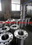 Stainless Steel 317 Long Weld Neck Flange