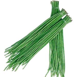 Quality Dried carod wholesale