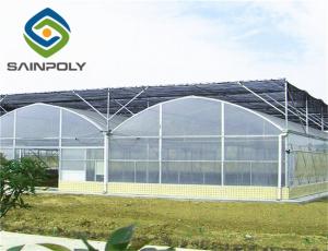 Quality Anti Ultraviolet 6m Tomato Plastic Shed Film Greenhouse wholesale