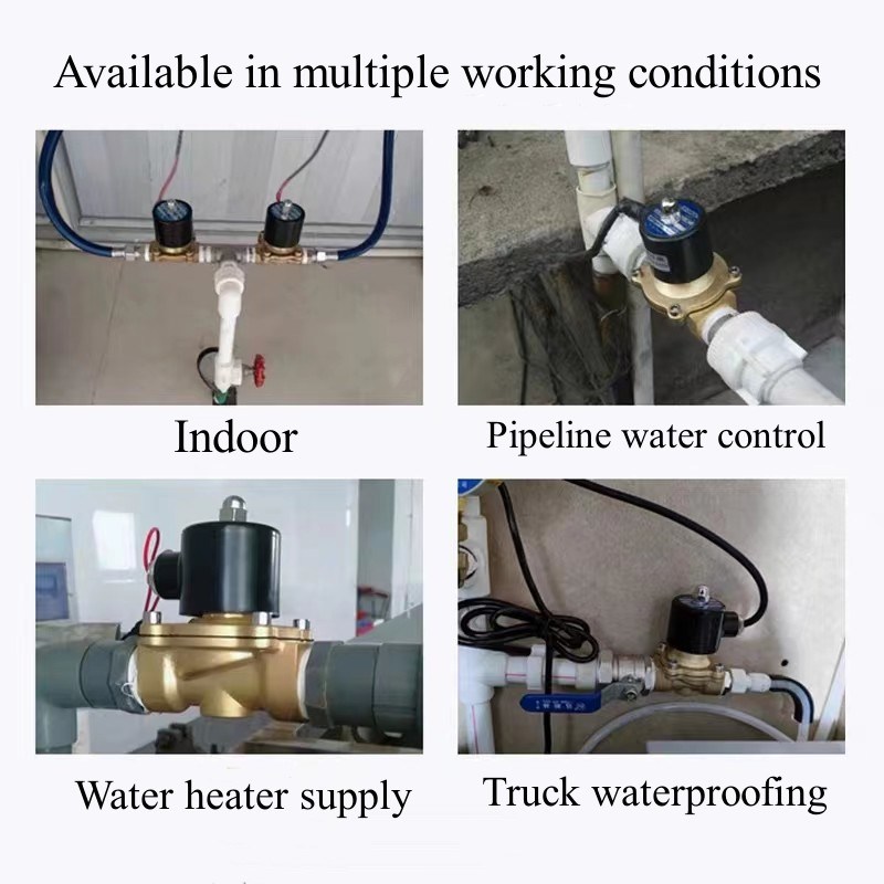 2W Normally Closed Brass Electric Magnetic Valve DC 12V 24V AC 220V
