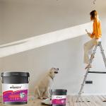 One Component Polyurea Coating For Roof Swimming Pool EINECS No. 201-177-9 20KG