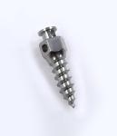 Titanium Alloy Orthodontic Micro Screws Dental Orthodontic Microimplants