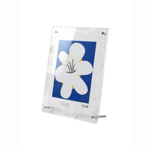 Quality OEM Transparent Small Picture Frames Double Sided 30.5x30.5cm Plastic Photo Frame wholesale