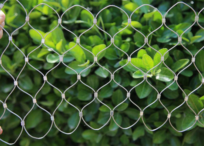 Non Rust 1.6mm Stainless Steel Rope Mesh Ferrule Green Wall Garden Plant Trellis Netting