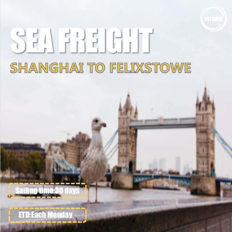 EMC YML Liner International Sea Freight Logistics From Shanghai To Felixstowe UK