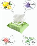 Pure Water Gentle Disposable Wet Wipe Baby Scented 100PCS