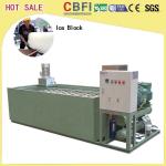 5 Kg 10 Kg 20 Kg 50 Kg Ice Cans Ice Block Making Machine Energy Saving