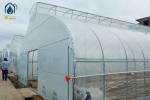 Commercial Tunnel Flower Vegetable Growing Greenhouse Hot Galvanized Steel