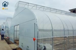 Quality Commercial Tunnel Flower Vegetable Growing Greenhouse Hot Galvanized Steel Structure wholesale