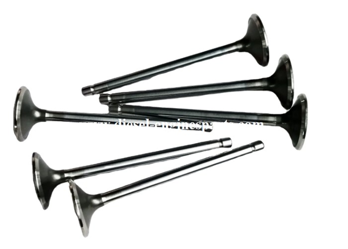 TS16949 Intake Exhaust Valves Polished Surface Cummins Inlet Valves