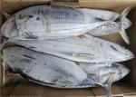 Seafrozen Katsuwonus Pelamis Whole Round Fresh Skipjack Tuna