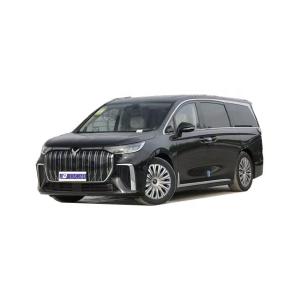 Quality 2023 Voyah Dreamer EV Pure Electric MPV for Mid to Large Scale Market Naturally Aspirated wholesale