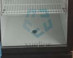 Commercial double-door upright glass beverage display freezer
