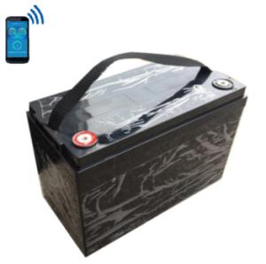 Quality Lithium 12v 130Ah Deep Cycle Rechargeable Battery With Small Group Size 31 wholesale