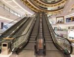 35 Degree 1000mm Step Electric Escalator Stainless Steel Grocery Cart Escalator