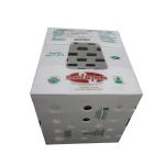 Custom Coroplast Boxes 3mm 5mm Eco Friendly Corrugated Plastic Mail Tote
