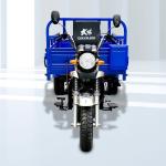 Heavy Loading Truck Cargo Tricycle with 150cc/175cc/200cc Engine and 12V Power